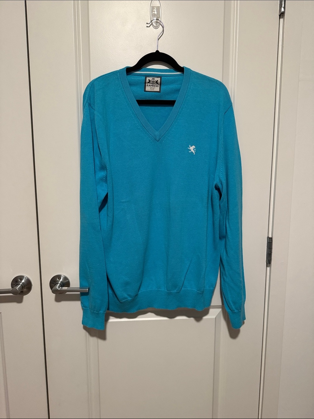 Express Men's V-Neck Sweater in Teal Blue